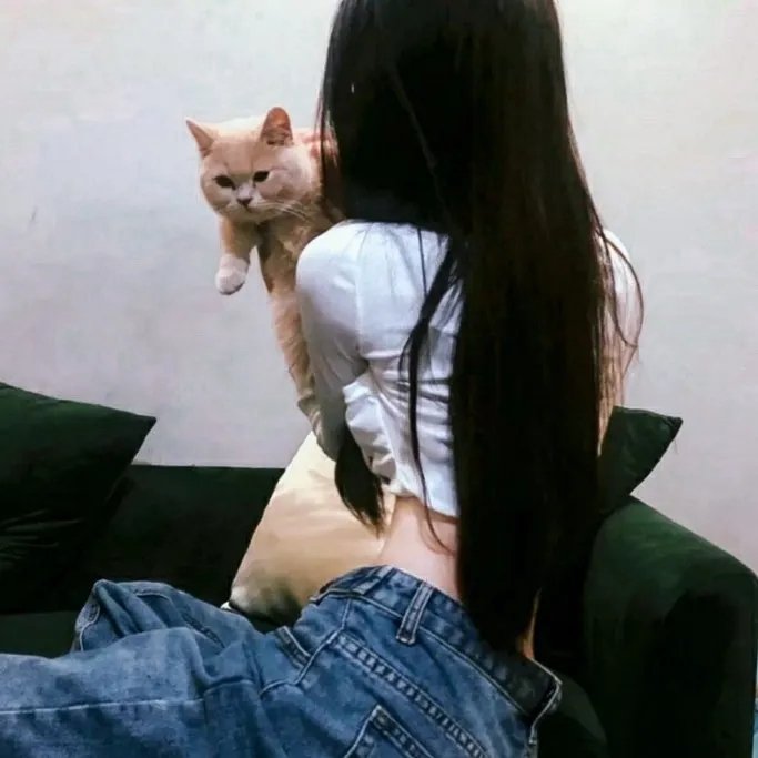 父子神探之燕子窠迷案